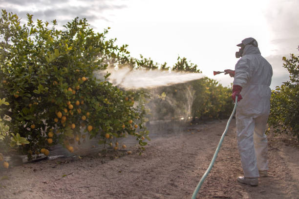 Pest Prevention Services in Ashdown, AR