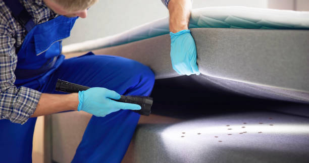 Best Affordable Pest Control Services  in Ashdown, AR