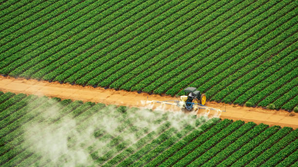 Best Commercial Pest Control Services  in Ashdown, AR