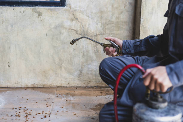 Best Exterminator Services  in Ashdown, AR